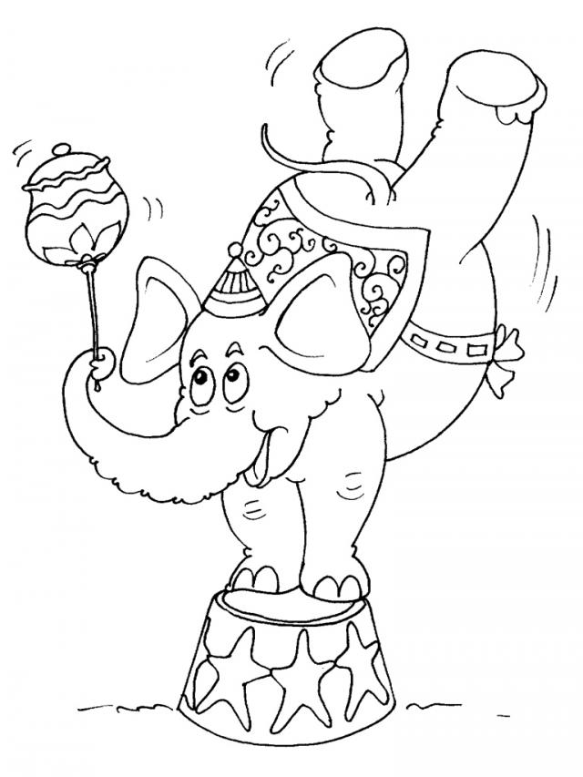 Słonik w Cyrku - Kolorowanka do Druku dla Dzieci kolorowanka do druku